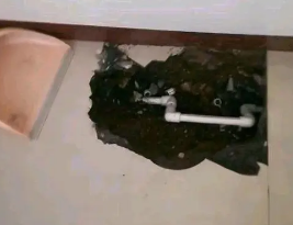 绵竹卫生间测漏水多少钱
